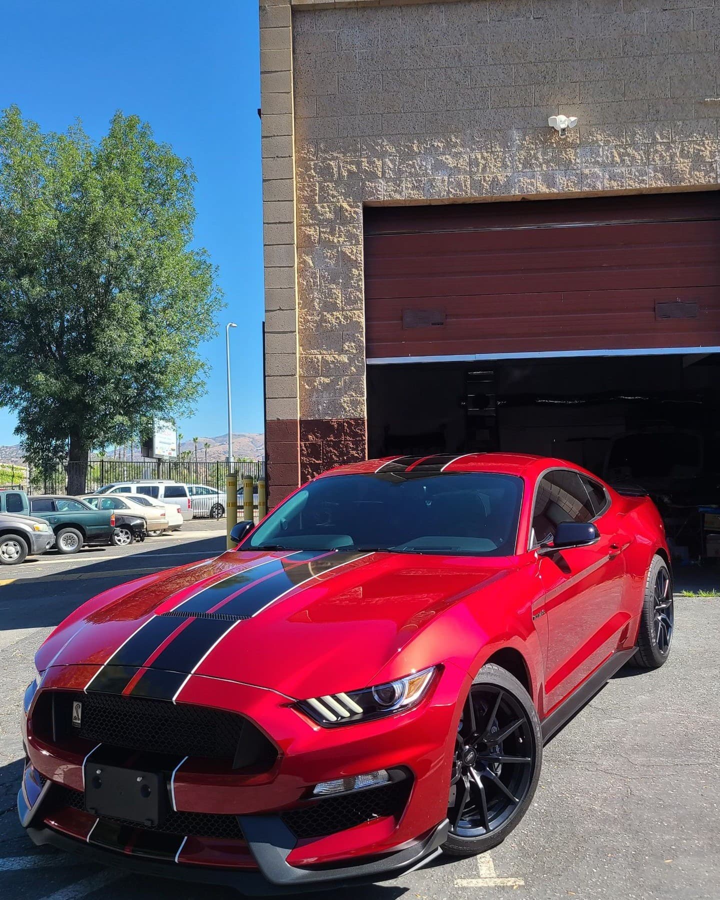 A red Ford Shelby GT350 Mustang parked in front of the shop